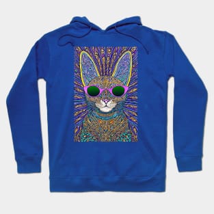 Cosmos Cat Wearing Sunglasses- Fission!!! Hoodie